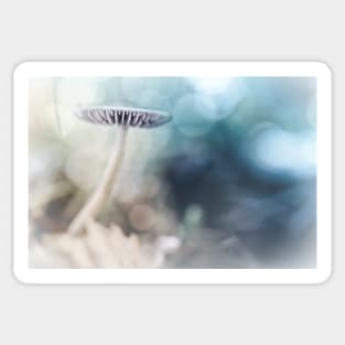 Dreamy Mushroom Sticker